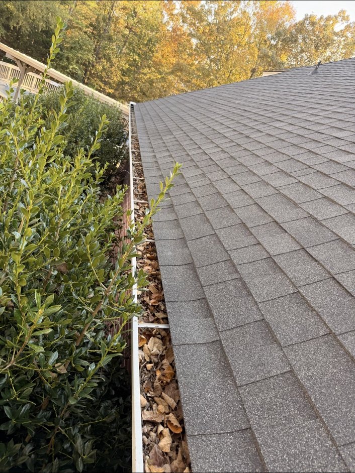 Gutter filled with leaves before cleaning
